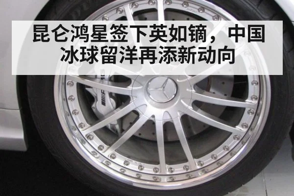 昆仑鸿星签下英如镝,中国冰球留洋再添新动向