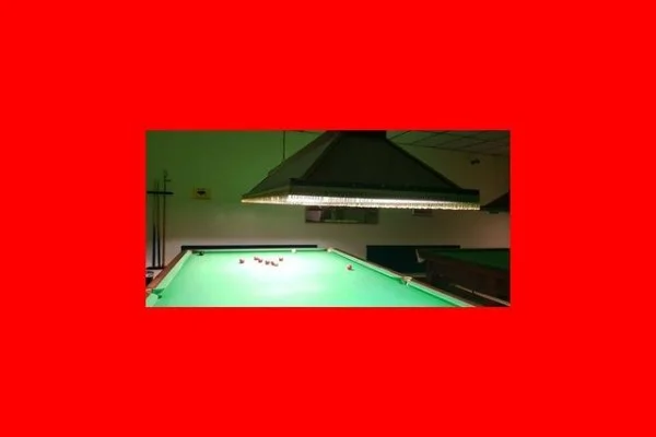 游泳世界杯上海站潘展乐100自冲金与波波维奇速度对决全景分析